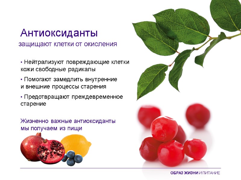 Антиоксиданты • Нейтрализуют повреждающие клетки  кожи свободные радикалы • Помогают замедлить внутренние 